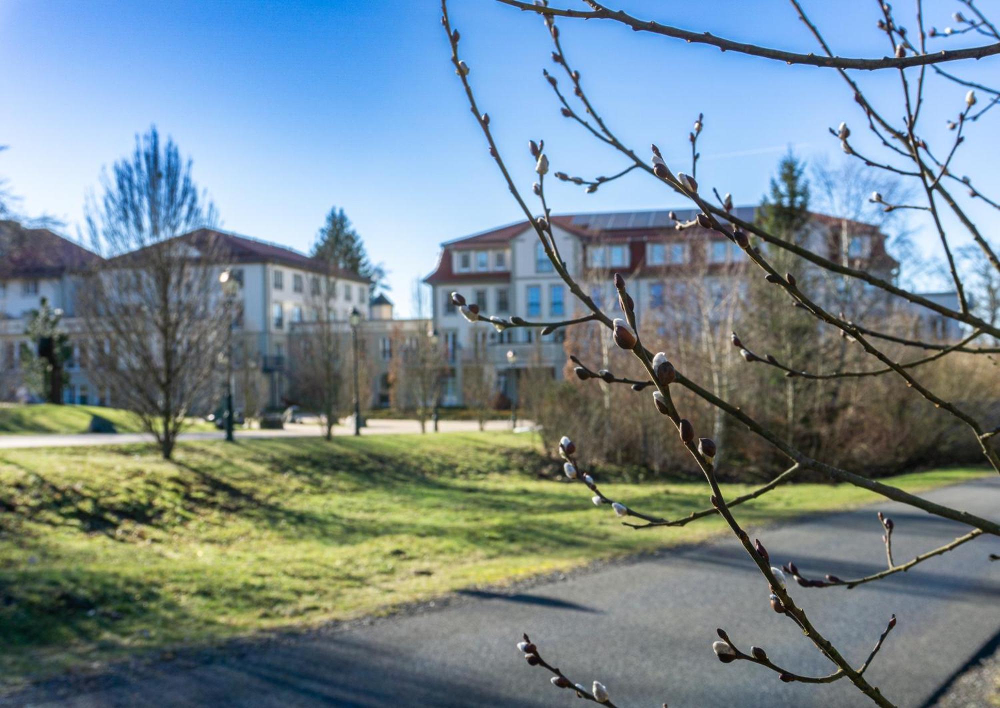 Naturresort & Spa Schindelbruch Stolberg  ภายนอก รูปภาพ